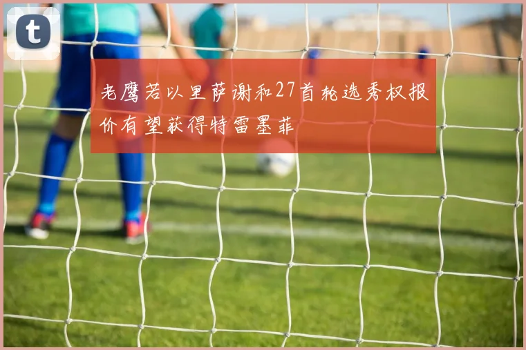 老鹰若以里萨谢和27首轮选秀权报价有望获得特雷墨菲